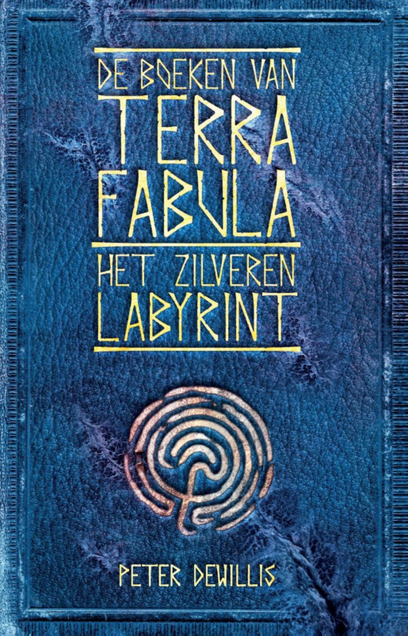 Omslag van Het zilveren labyrint