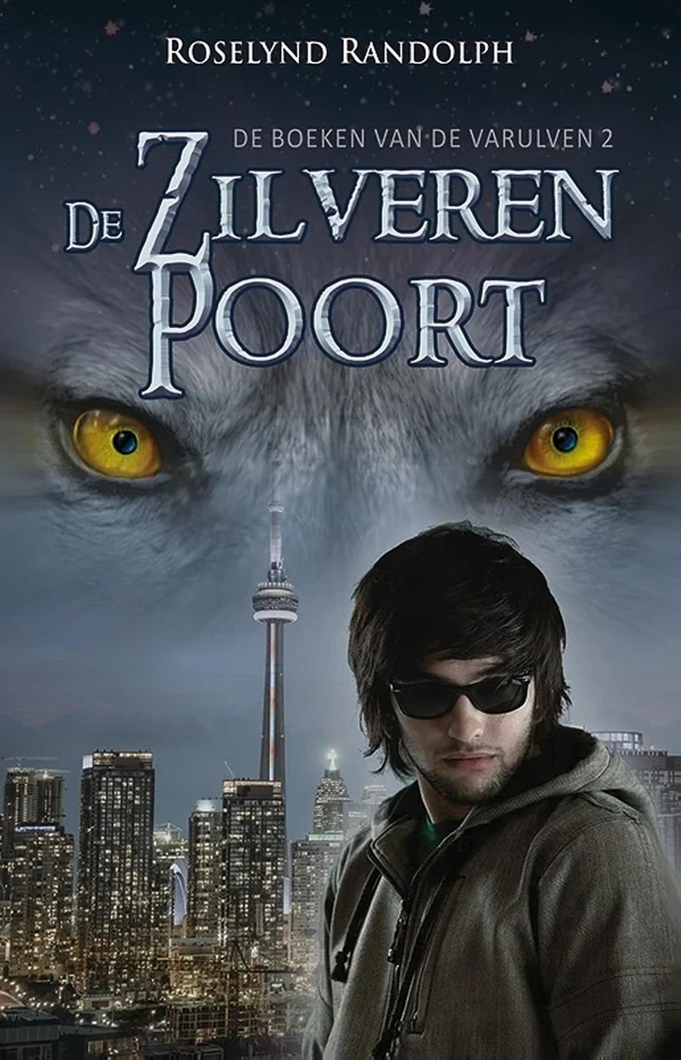 Omslag van De zilveren poort