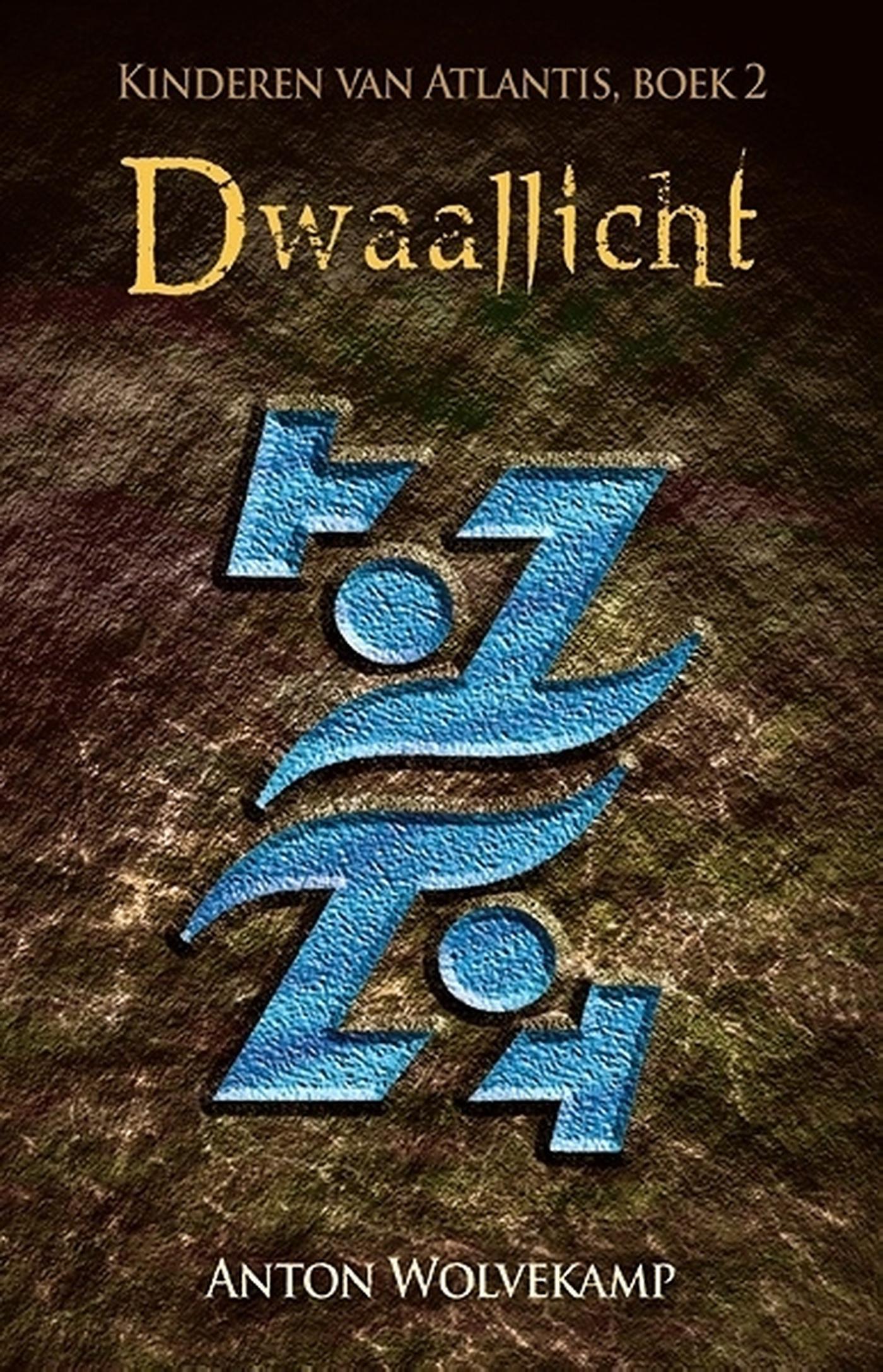 Omslag van Dwaallicht