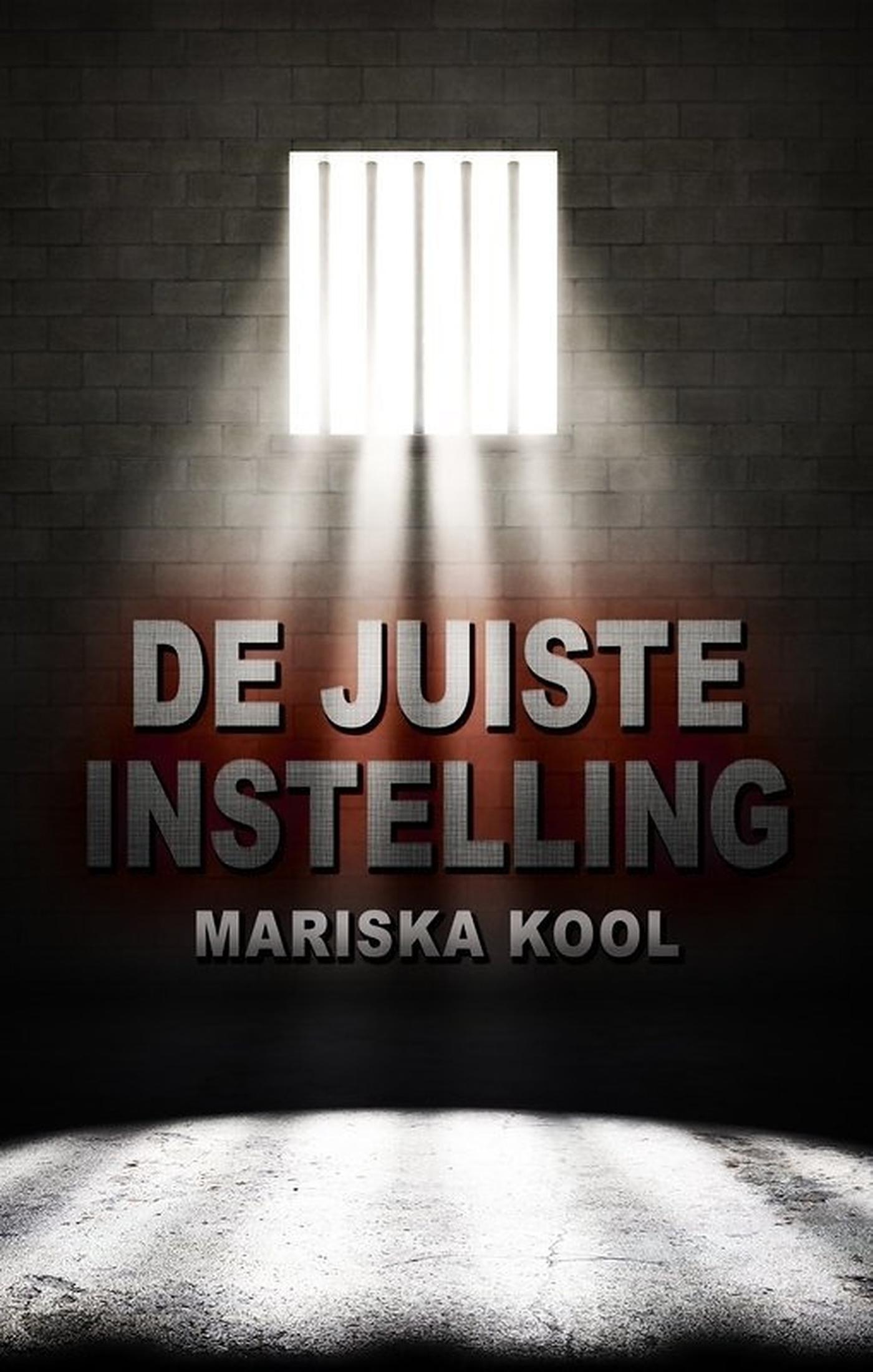 Omslag van De juiste instelling