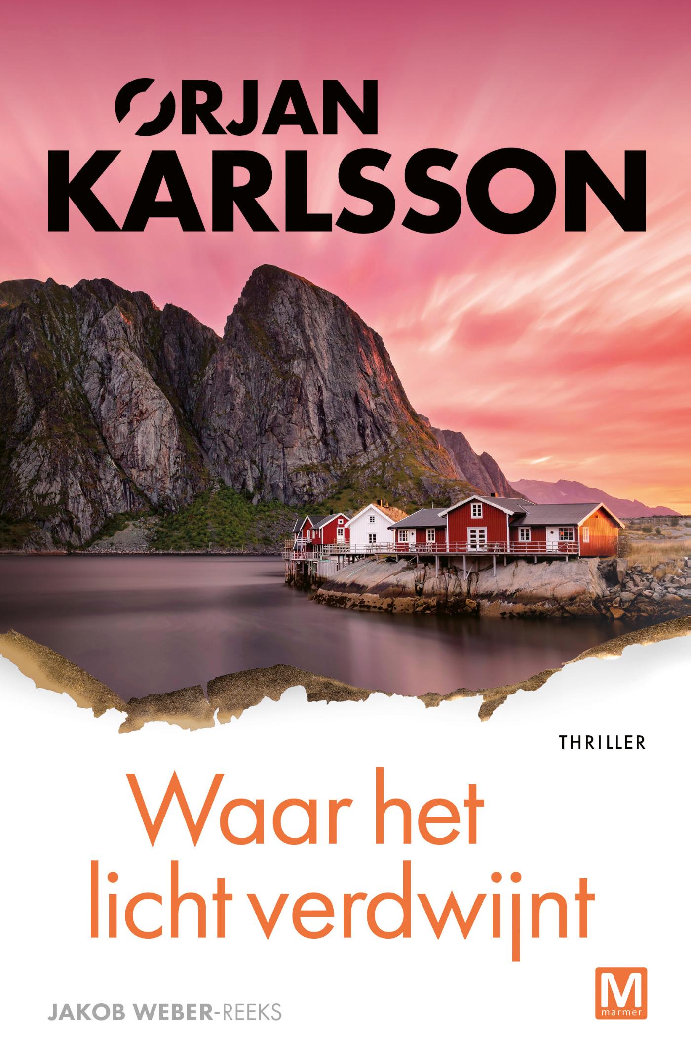 Omslag van Waar het licht verdwijnt
