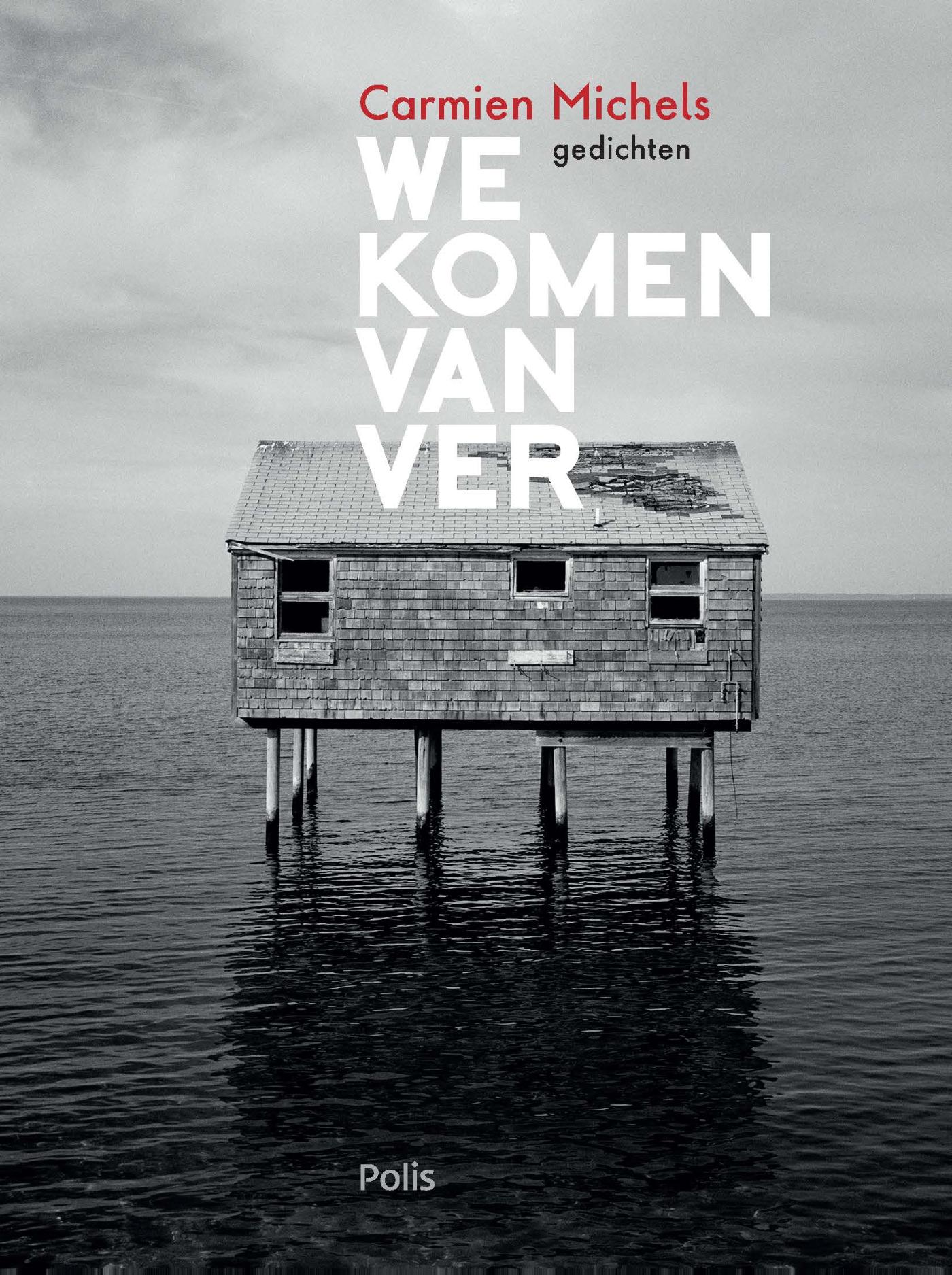 Omslag van We komen van ver