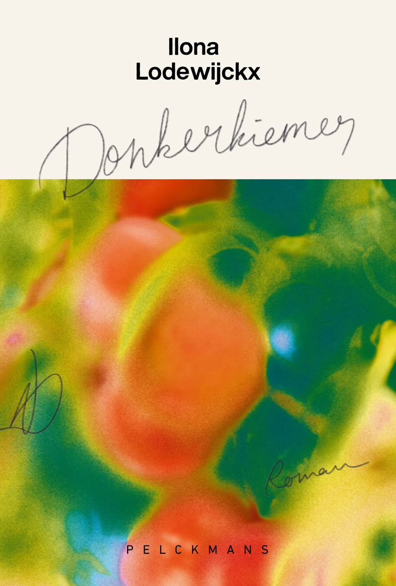 Omslag van Donkerkiemer