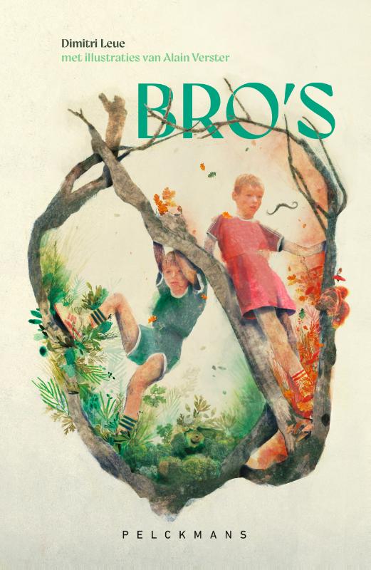 Omslag van Bro's