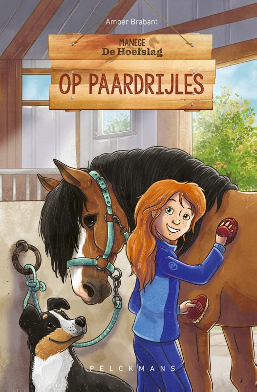 Omslag van Op paardrijles
