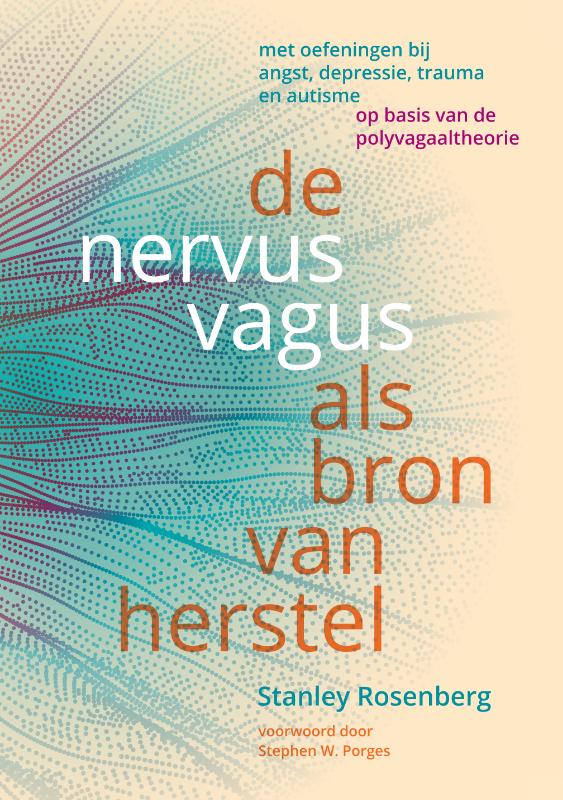 Omslag van De nervus vagus als bron van herstel