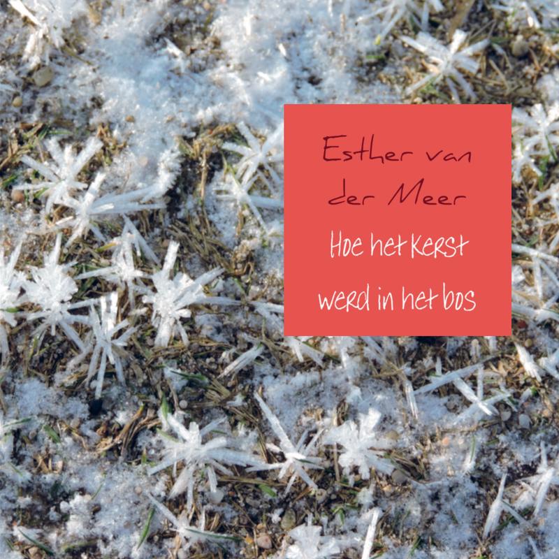 Omslag van Hoe het kerst werd in het bos