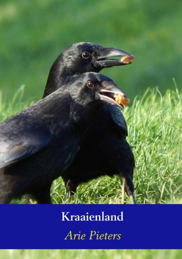 Omslag van Kraaienland