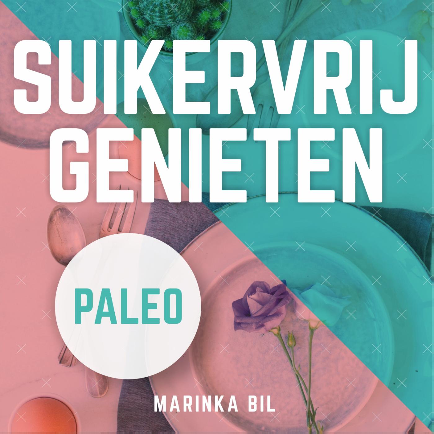 Omslag van Suikervrij genieten in 21 dagen