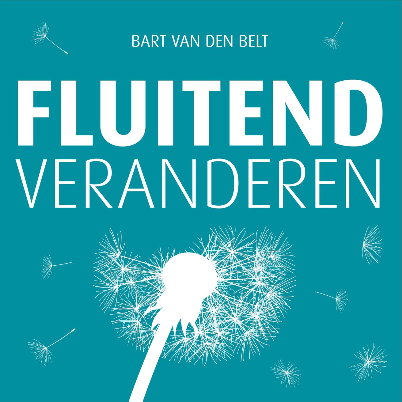 Omslag van Fluitend veranderen