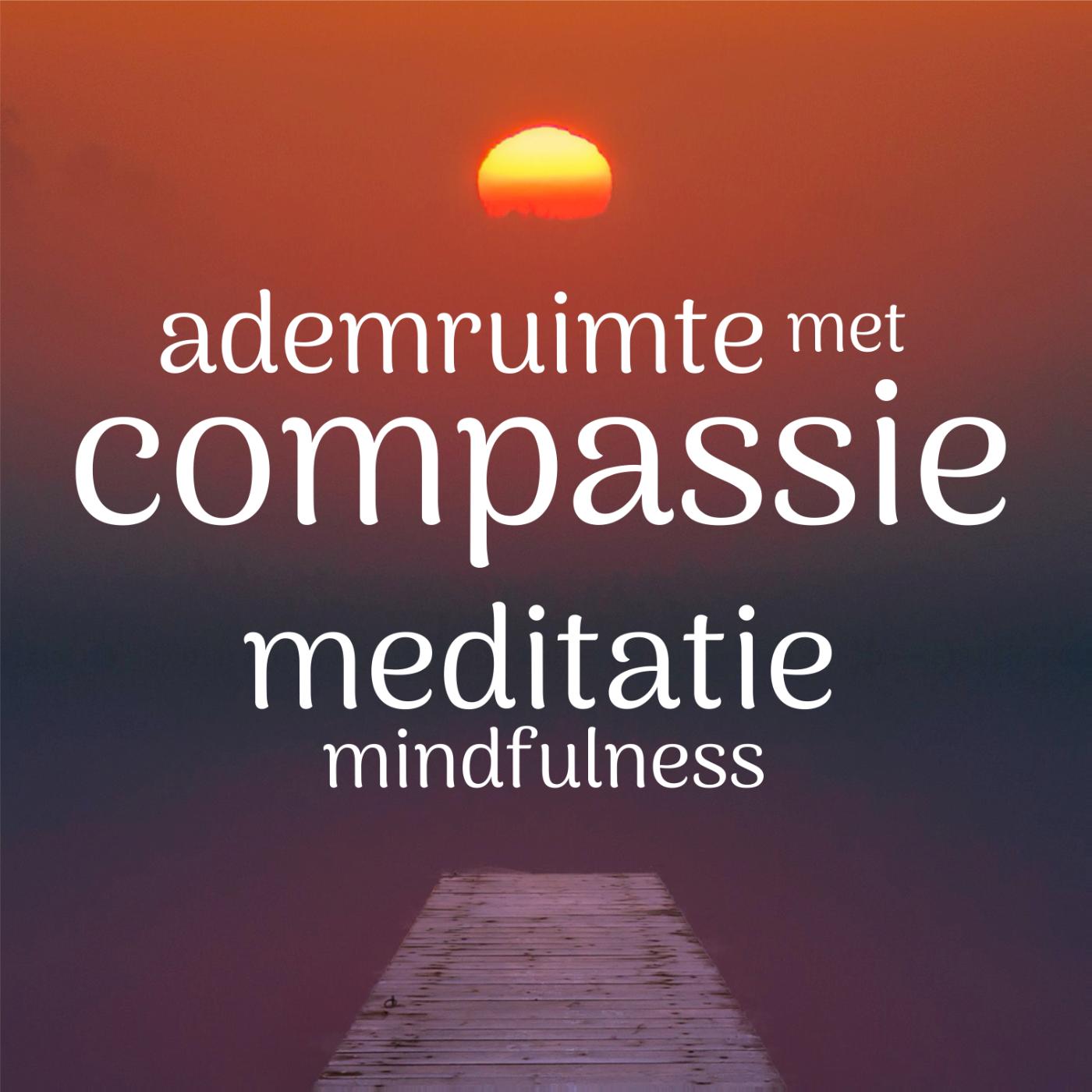 Omslag van Meditatie ademruimte met compassie - Mindfulness