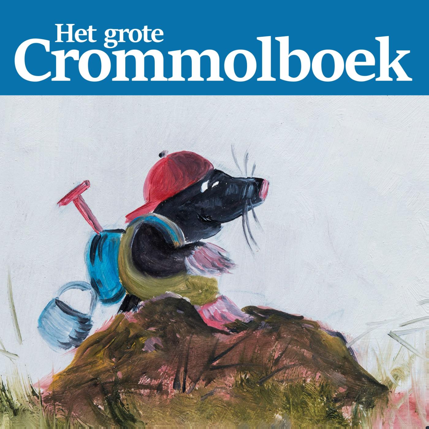 Omslag van Het grote Crommolboek