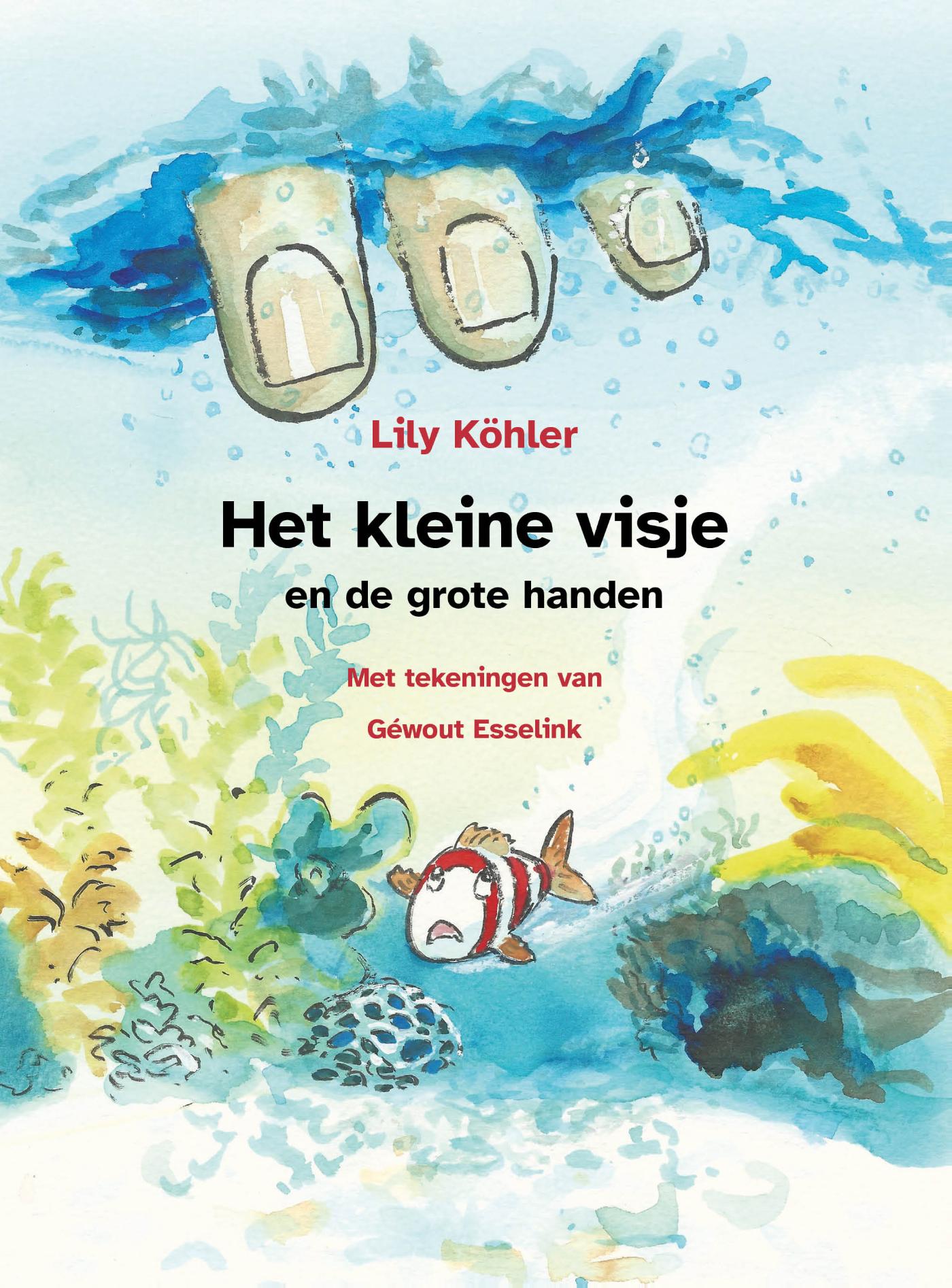 Omslag van Het kleine visje met de grote handen