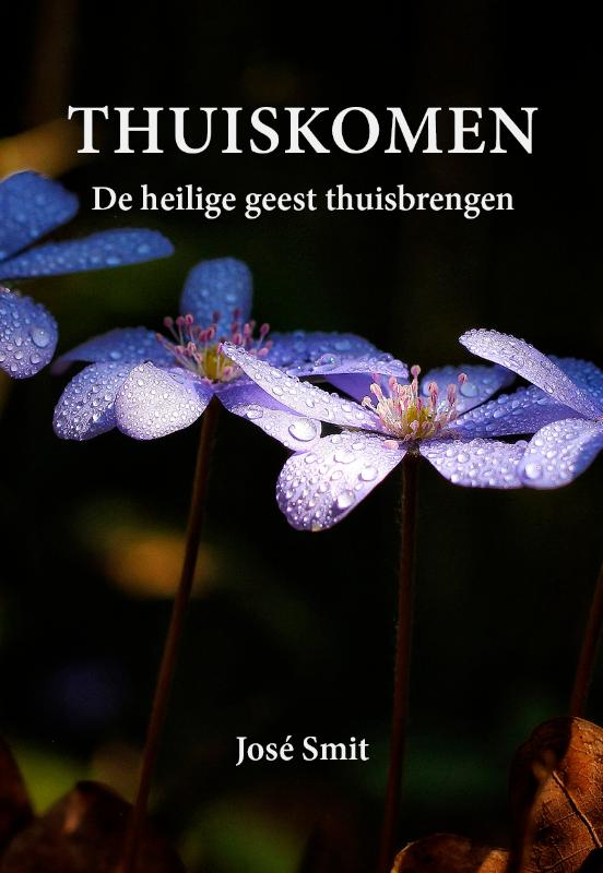 Omslag van Thuiskomen