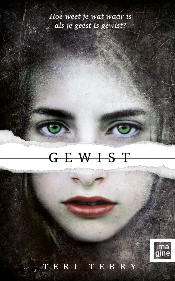 Omslag van Gewist