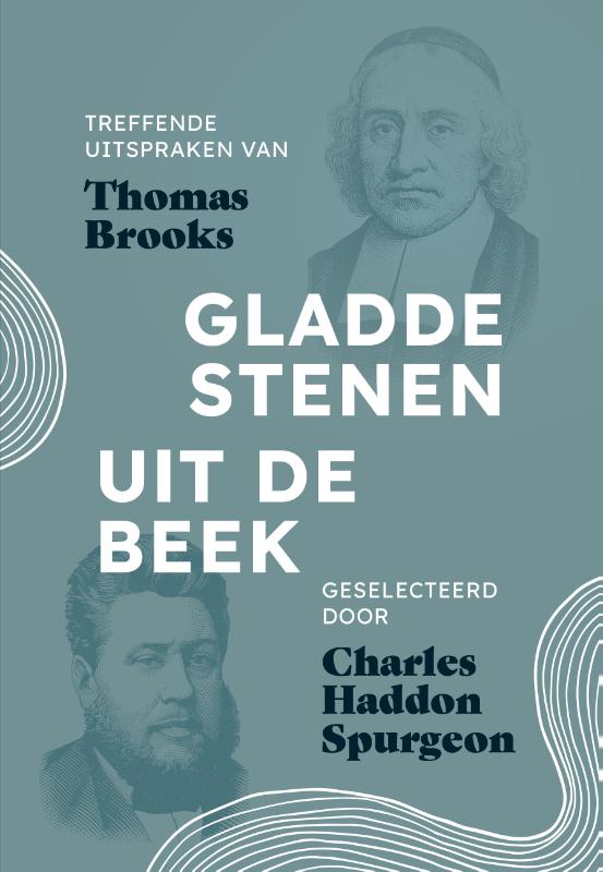 Omslag van Gladde stenen uit de beek