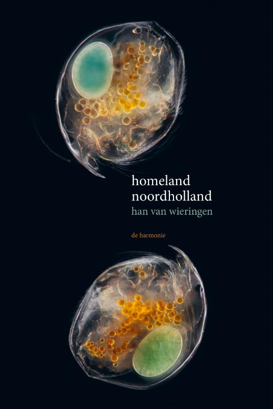 Omslag van Homeland Noordholland