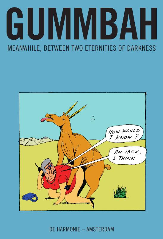 Omslag van Meanwhile, between two eternities of darkness