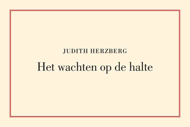 Omslag van Het wachten op de halte