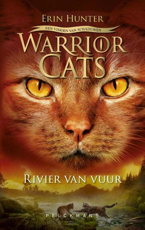 Omslag van Een visioen van schaduwen: Rivier van vuur