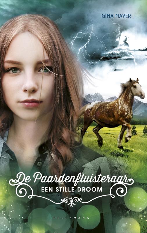 Omslag van Een stille droom