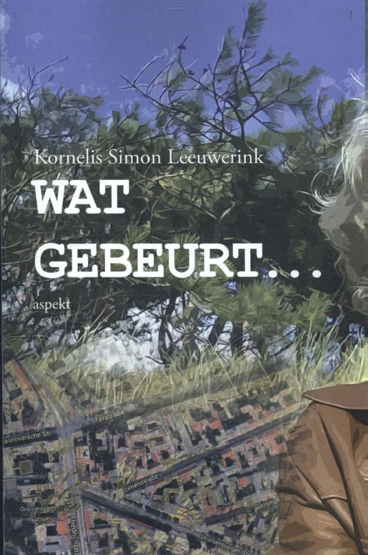 Omslag van Wat gebeurt...
