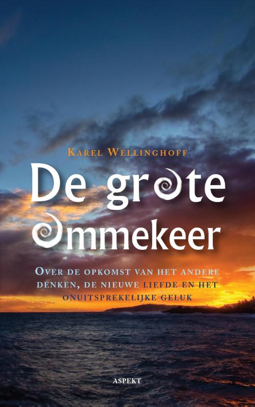 Omslag van De grote ommekeer