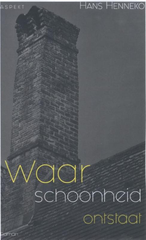 Omslag van Waar schoonheid ontstaat