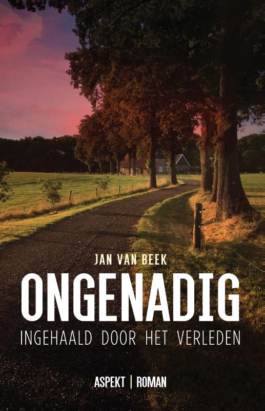 Omslag van Ongenadig