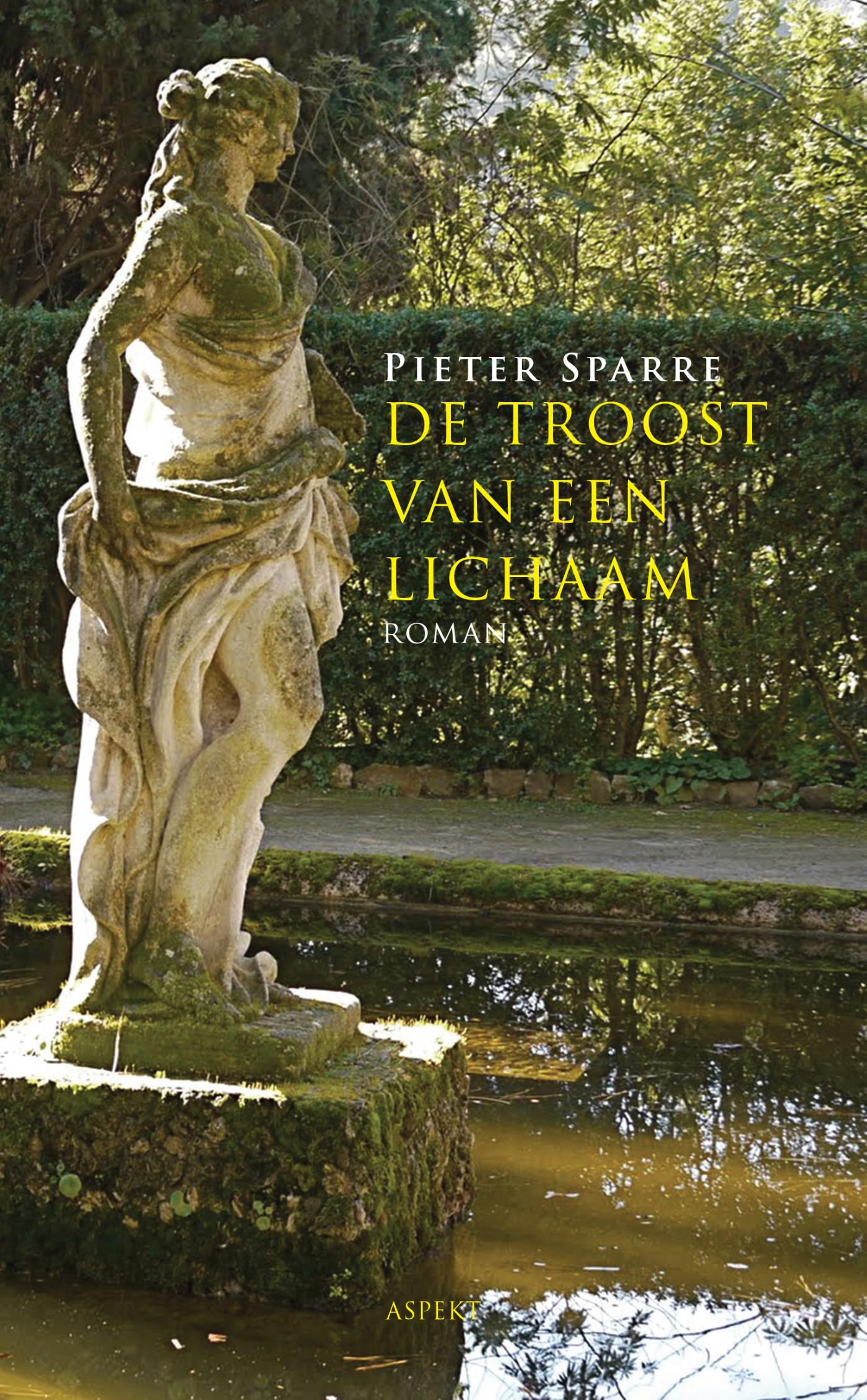 Omslag van De troost van een lichaam