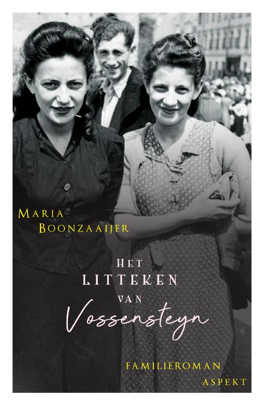 Omslag van Het litteken van Vossensteyn