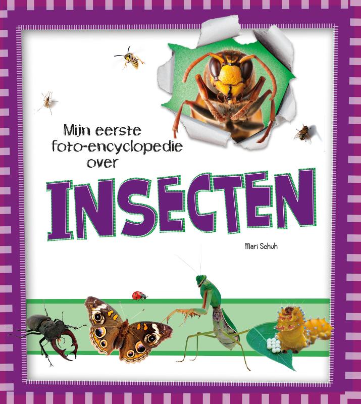 Omslag van Insecten
