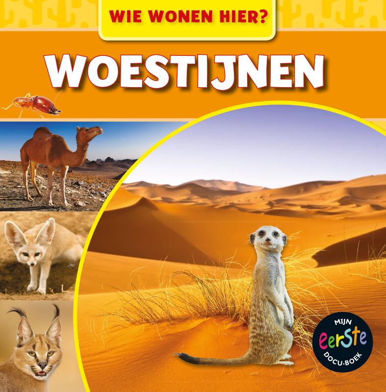 Omslag van Woestijnen