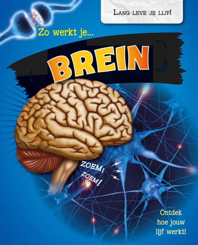 Omslag van Zo werkt je brein