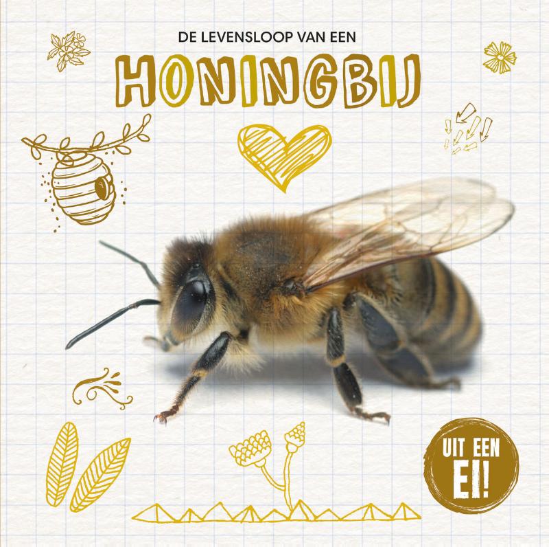 Omslag van De levensloop van de honingbij
