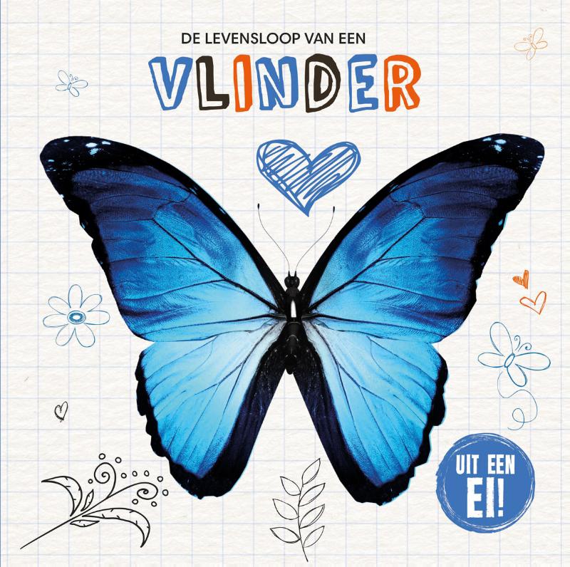 Omslag van De levensloop van een vlinder