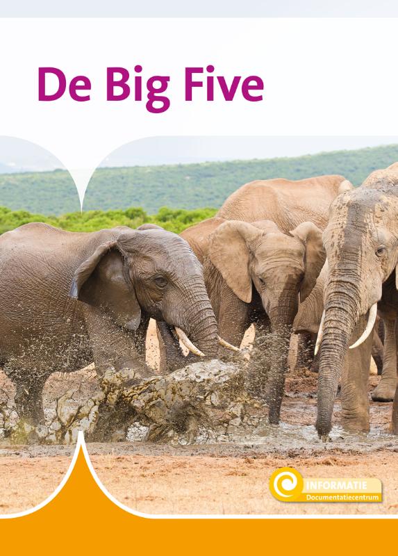 Omslag van De Big Five