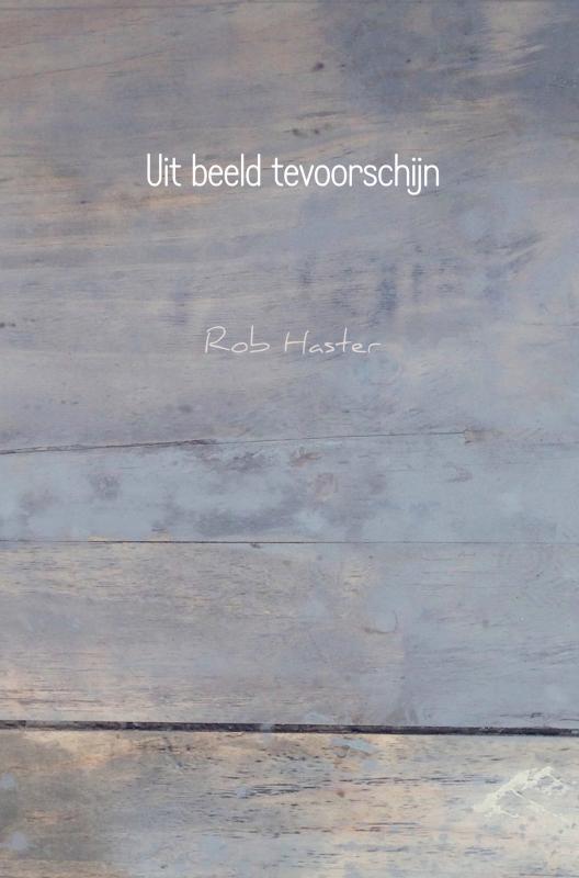 Omslag van Uit beeld tevoorschijn