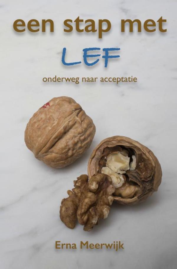 Omslag van Een stap met lef