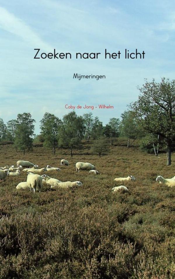 Omslag van Zoeken naar het licht