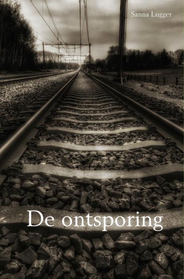 Omslag van De ontsporing