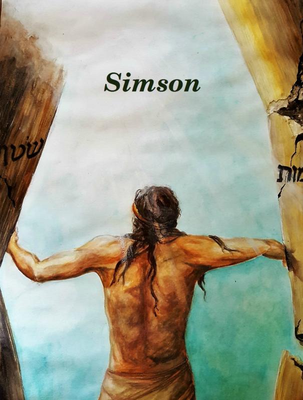 Omslag van Simson