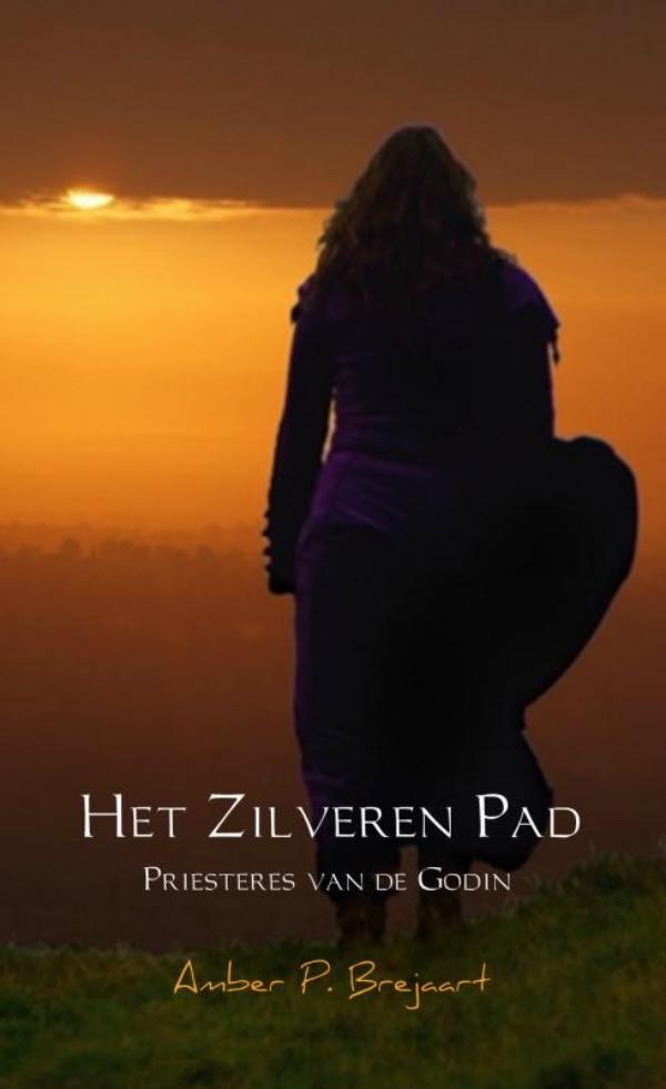 Omslag van Het zilveren pad
