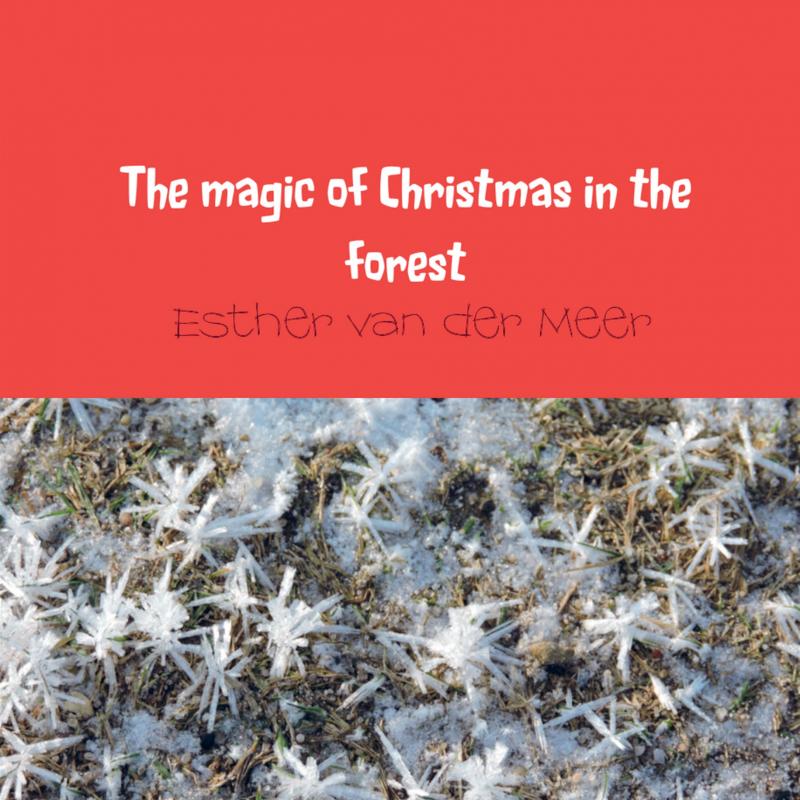 Omslag van The magic of Christmas in the forest