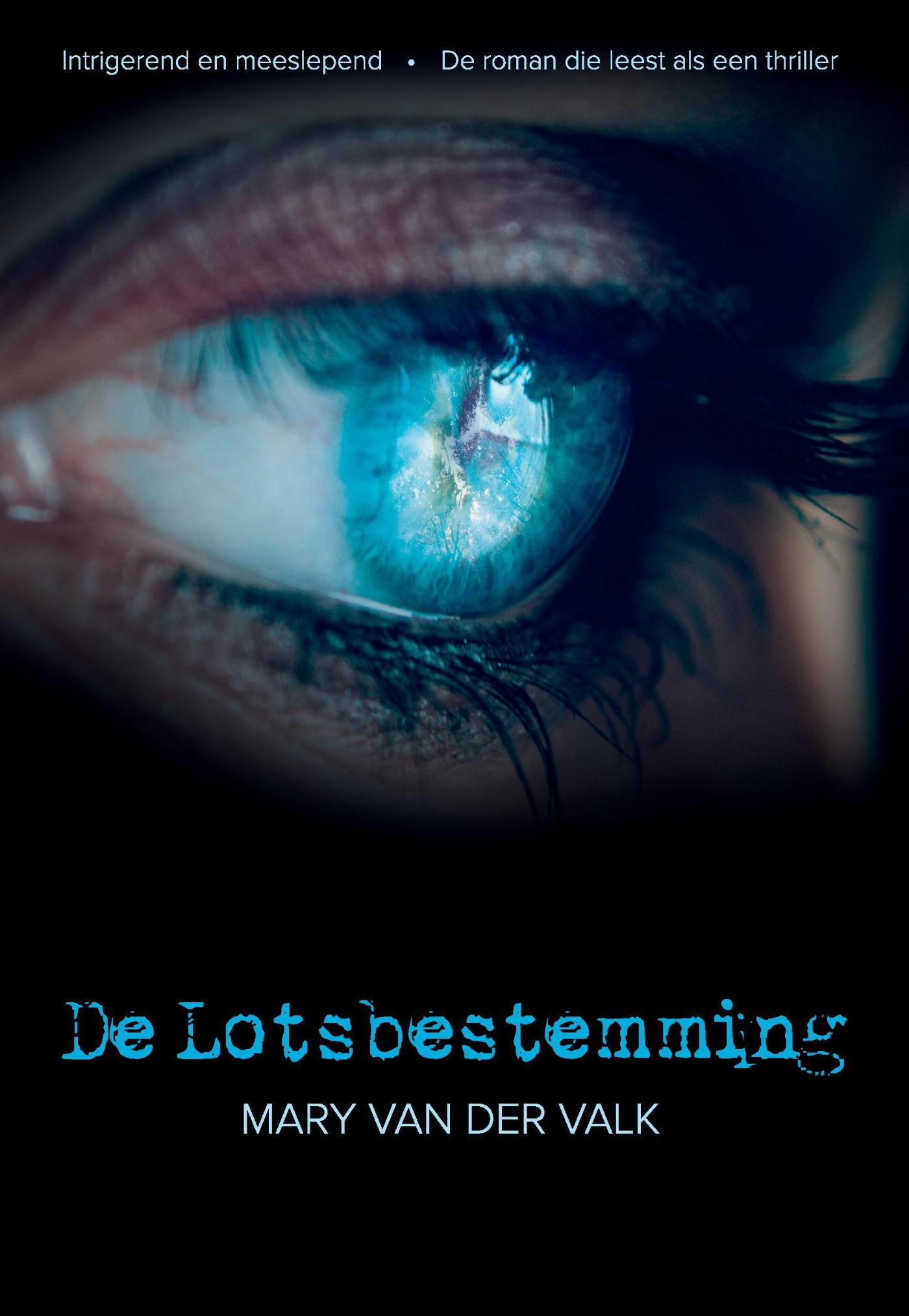 Omslag van De lotsbestemming