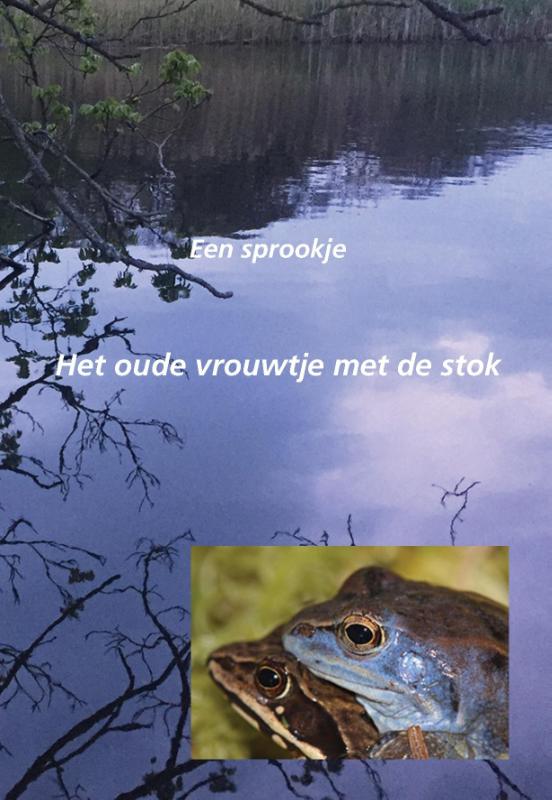 Omslag van Een sprookje