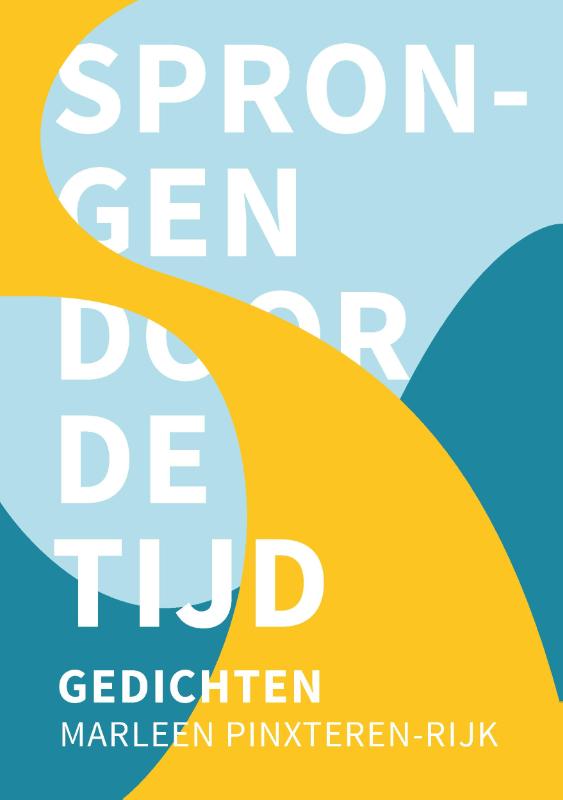 Omslag van Sprongen door de tijd