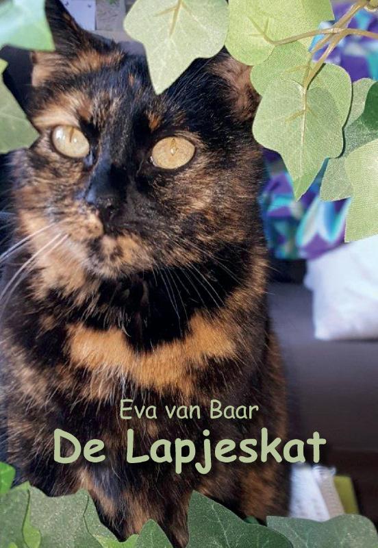 Omslag van De Lapjeskat