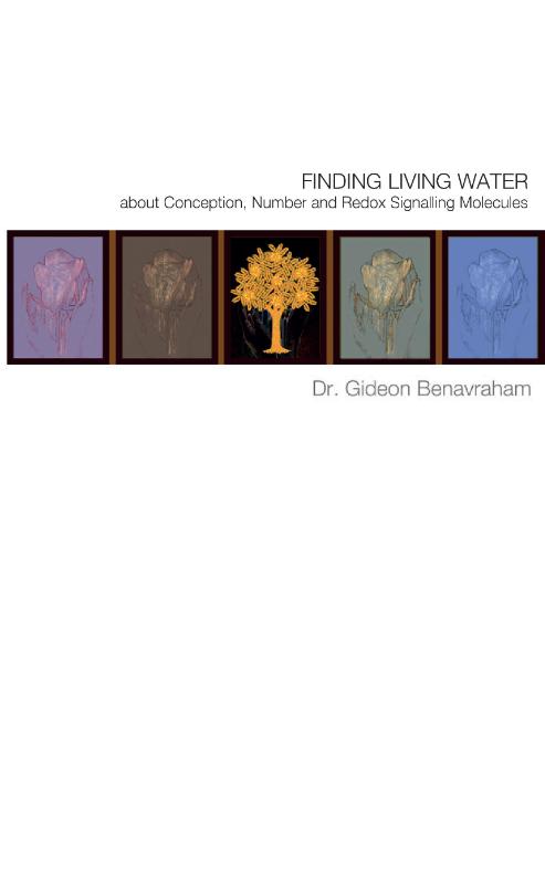 Omslag van Finding Living Water