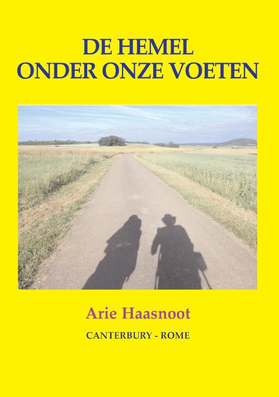 Omslag van De hemel onder onze voeten